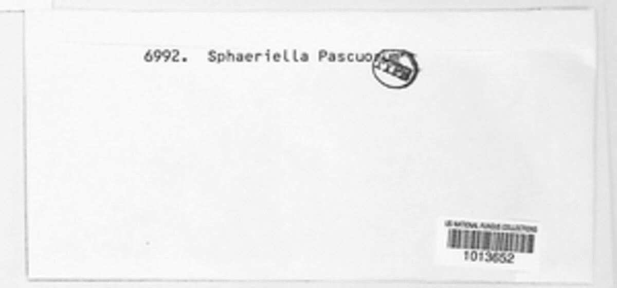 Sphaerella pascuorum image